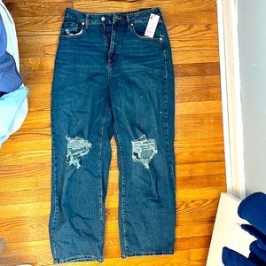 Wild Fable super high rise baggy jean